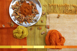 Natural Dye of the Week: Flame of the Forest